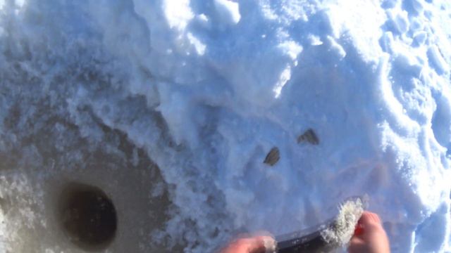 В поисках МОНСТРОВ. Открытие сезона 2018 на жерлицы. Сумасшедший клев. Щука вместо живца. смотреть онлайн