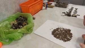 ТЕХНИЧЕСКОЕ СЕРЕБРО (КОНТАКТЫ). ЧТО? ГДЕ? ПО ЧЕМ?