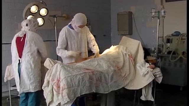напали собаки смотреть онлайн