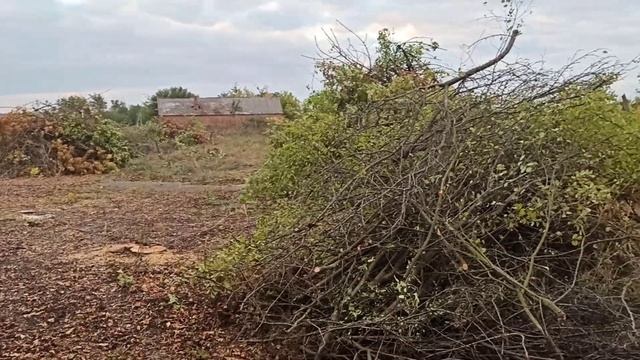 Кіровоградська область м.Долинська. Продам дрова!!! смотреть онлайн