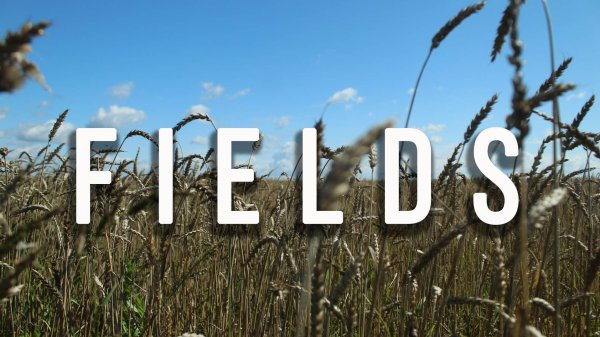 FIELDS