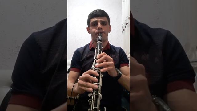 Pash Mnacakanyan klarnet Es Gtel Em cover version Orig.song Arsen Alchangyan смотреть онлайн