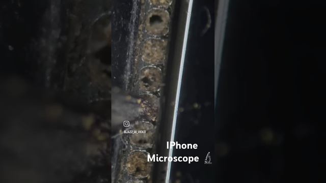 IPhone Microscope 🔬#2024#ipl #iphone#instagram #microscope#tiktok#youtube #ytshort# смотреть онлайн