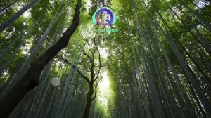 АЛЬ БАКАРА - ЗАЩИТА ОТ ВСЕГО ПЛОХОГО, СЛУШАЙТЕ КАЖДЫЙ ДЕНЬ. изумительное чтение корана