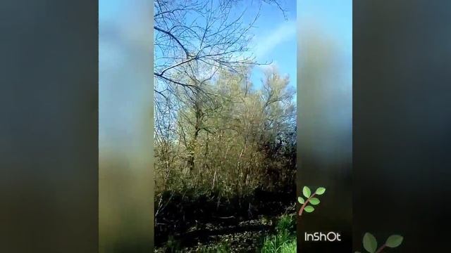 Красота осени... Осень.... Природа смотреть онлайн