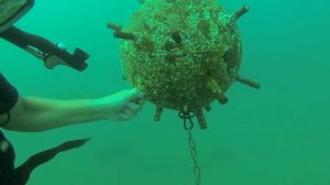 Страшные находки на дне Черного Моря. Немецкий мотоцикл,подводная бомба(обезвреженная)...