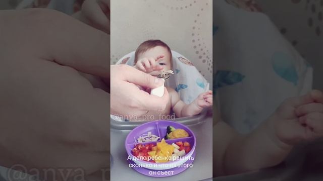 Добавка для малыша. Как правильно #Anyaprofood #прикорм #самоприкорм #проеду #семья #питаниедетей смотреть онлайн