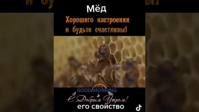 мед и его польза смотреть онлайн