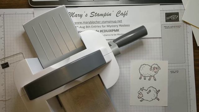 Counting Sheep Stamp Set Spotlight смотреть онлайн