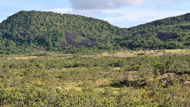 RUPUNUNI SAVANNAH, GUYANA | Staying at Wichabai Ranch смотреть онлайн
