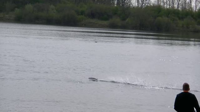 FASTEST RC RACING BOATS 140 KMH SPEEDBOAT POWERBOAT RACE / Powerboat Meeting Edderitz 2015