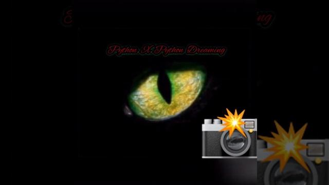 Python X Python Dreaming смотреть онлайн