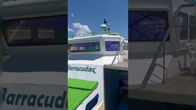 Прогулка в открытое море 🌊 на катамаране Барракуда 🦈 смотреть онлайн