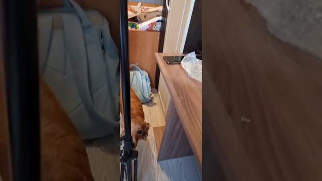 очередная распаковка с Аллиэкспресс смотреть онлайн