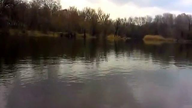 Лодка Бриг Динго 285Д и мотор Тохасу 5 лс. 2т смотреть онлайн