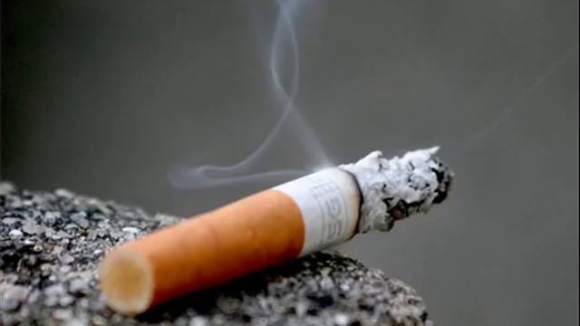 Я люблю этот сладкий туман , потому что я растаман смотреть онлайн