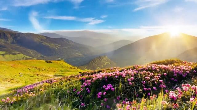 Как можем мы обманываться в себе думая что имеем любовь к ближнему. Лазарь Абашидзе..mp4 смотреть онлайн