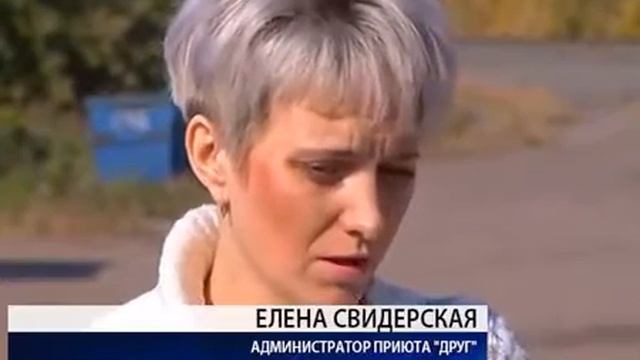 Сегодня во всем мире отмечают день защиты животных смотреть онлайн