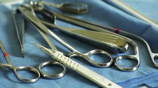 Ученые Создали Первый в Мире Эмбрион Человека-Свиньи