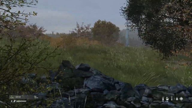 Внезапная встреча обернулась в рейд. Охрана целого города. - DayZ смотреть онлайн