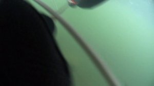 Зелинка 600 VS Пеленгас Магнум 700+  Практические тесты , отзыв и выбор ружья для себя.