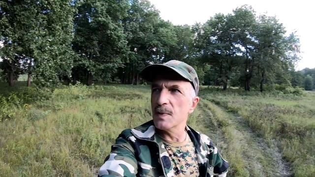 Прогулка по дубовому лесу в поисках старинной переправы смотреть онлайн