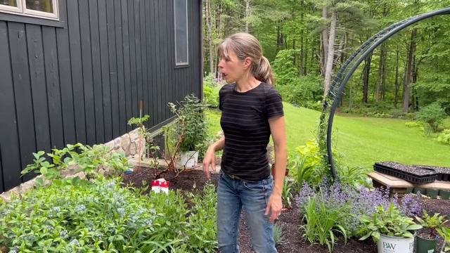 Home Makeover / GIANT Leaved + NEW Shade Plants / OakLeaf Hydrangea + Our 'Throw Away' Garden Tours смотреть онлайн