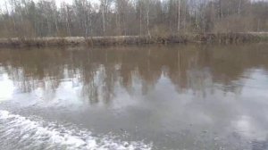 Мотор хондекс 9.8 лодка прогресс прёт как танк