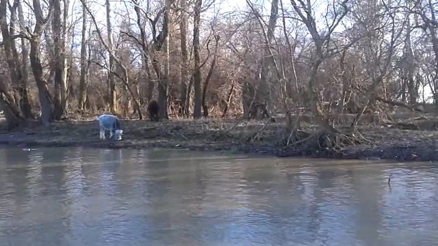 милка смотреть онлайн