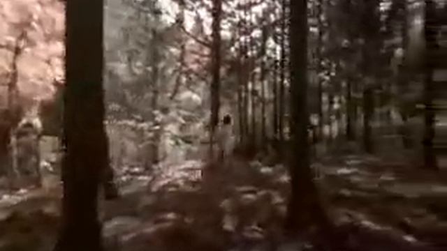 Сила Духа.flv смотреть онлайн