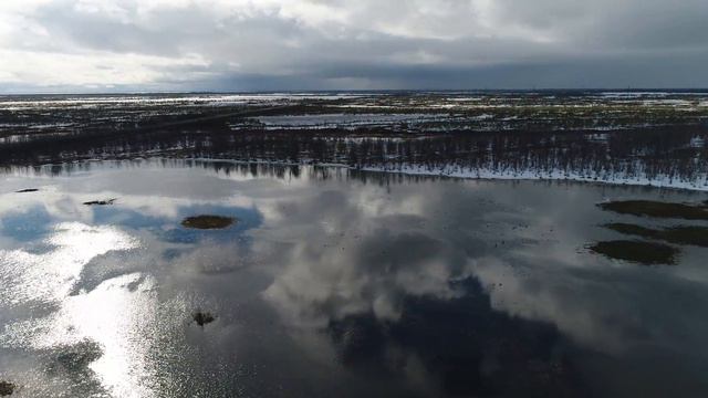 8 мая 2017 г. смотреть онлайн