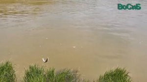 УКЛЕЙКА  КАК НАЛОВИТЬ МНОГО