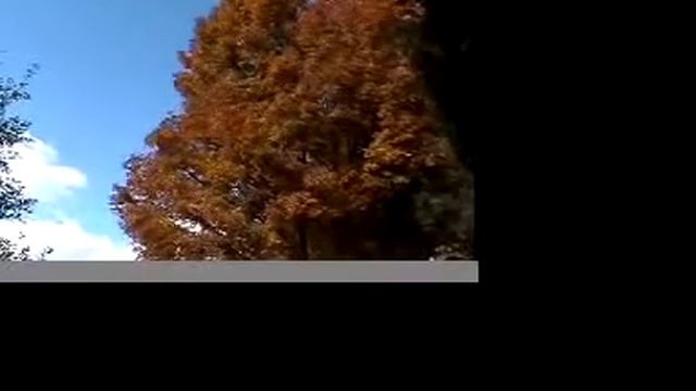 Indian Summer By Victor Herbert