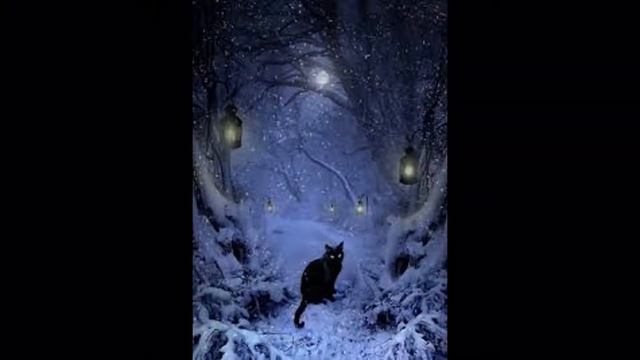 Красивые картинки чёрных кошек и котов смотреть онлайн