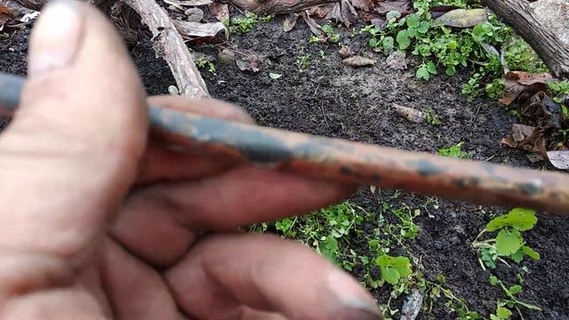 виноград и железный купорос дружат . смотреть онлайн