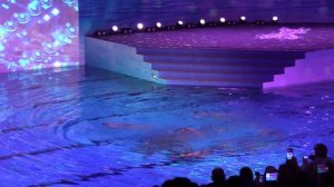 Показательное выступление сборной России по синхронному плаванию на Шоу Олимпийских Чемпионов 2019