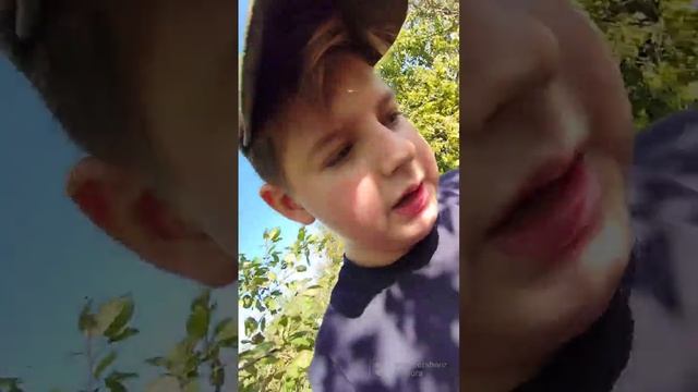 расчистка погреба или же из погреба в базу.  1 часть