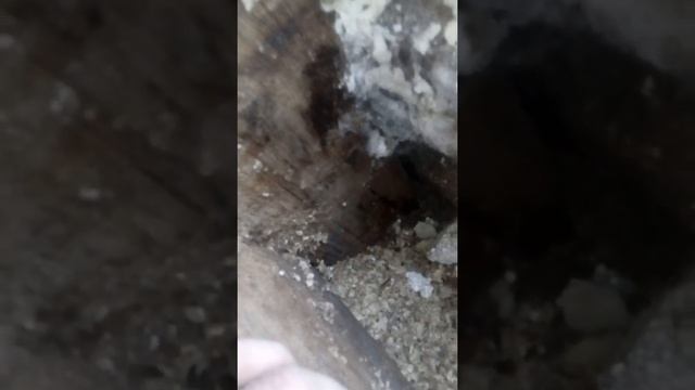 Каркасный дом в Сибири! Не Стройте Так Никогда!!! смотреть онлайн