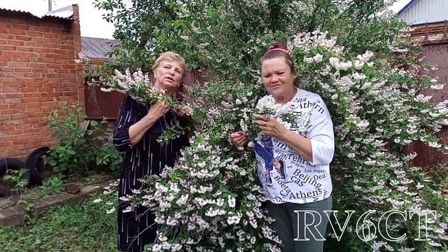 В гостях у Любы Генераловой смотреть онлайн