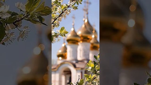 1- я Неделя Великого поста. Торжество Православия. смотреть онлайн