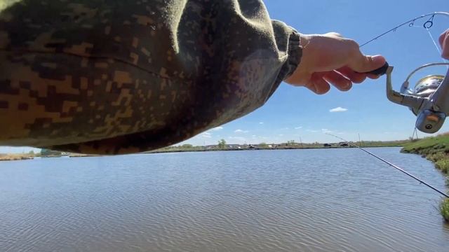 Он утащил удочку!!! Вот это КЛЕВ, как на ЧЕРНЫХ КАМНЯХ! УЛЬТРАЛАЙТОВЫЙ фидер гнется в БУБЛИК! смотреть онлайн