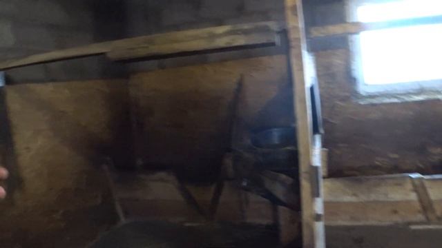 Из фермы мы вышли и ... снова зашли \\Суматоха на ферме . смотреть онлайн