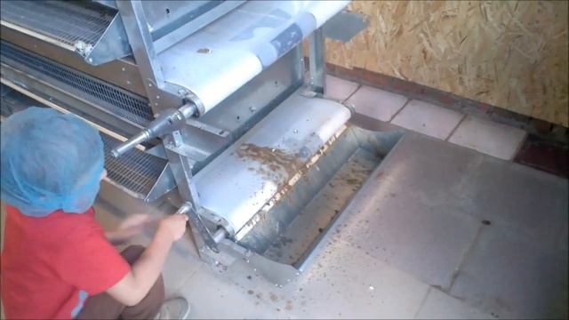 Уборка в перепелятнике смотреть онлайн