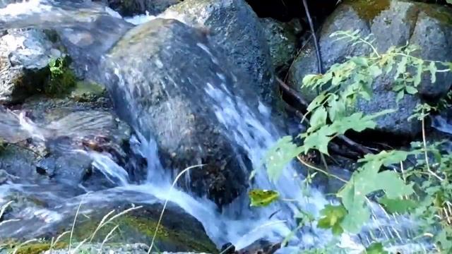 Шум Воды Горной Реки. Успокаивающие Звуки Природы| Mountain River. Relaxing Nature Sounds смотреть онлайн
