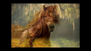 Красивые лошади под прекрасную  музыку