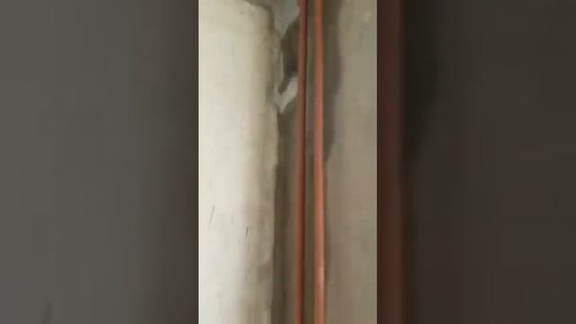 Обзор двушки 16.2 кор ЖК Государев дом форум вк https://vk.com/jk.gosudarevdom смотреть онлайн