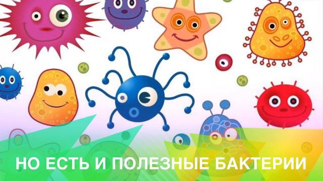 Тема «биология» о бактериях детям смотреть онлайн