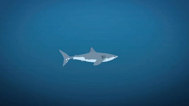 Hungry shark evolution Abyss Shark lunchtime (sticknodes animation) #Colusdragoncontest смотреть онлайн