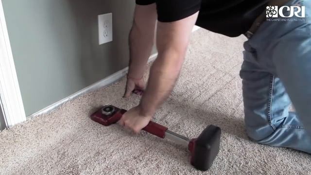 Carpet Power Stretching смотреть онлайн