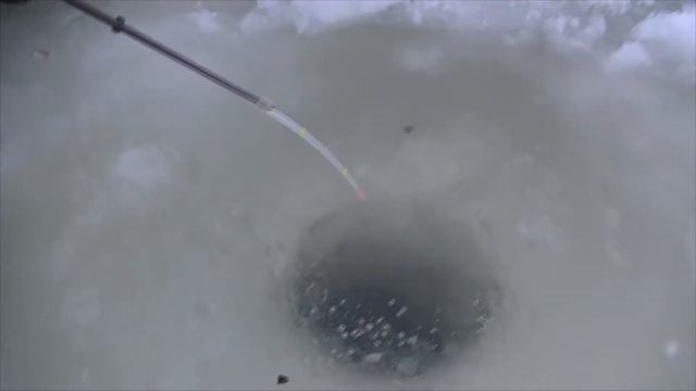 Рыбалка на озернинском водохранилище в -30 23.02.2021 смотреть онлайн
